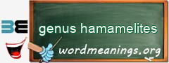 WordMeaning blackboard for genus hamamelites